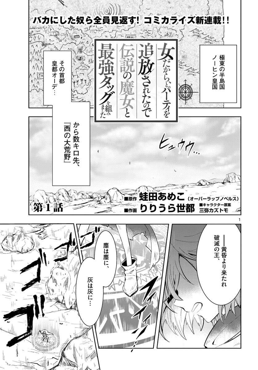 女だから、とパーティを追放されたので伝説の魔女と最強タッグを組み
